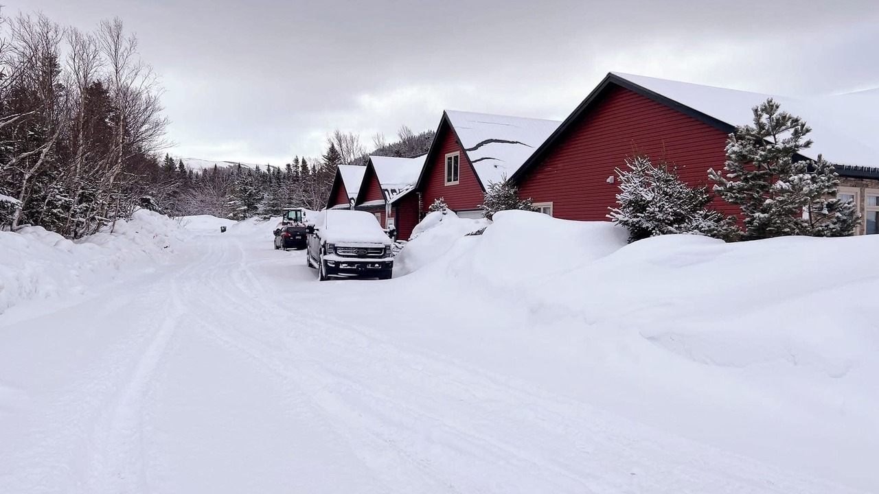 Photo of Outdoor in Terra Nova