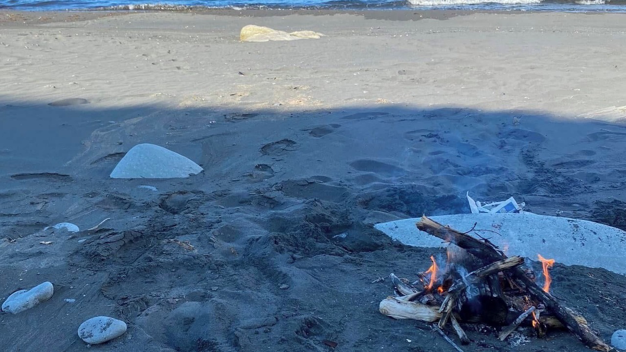 Photo of Others in Western Bay