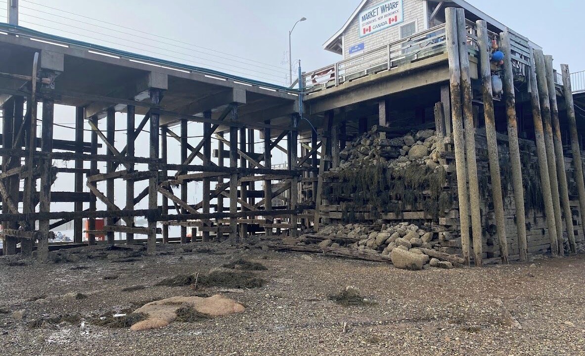 Photo of Others in St. Andrews