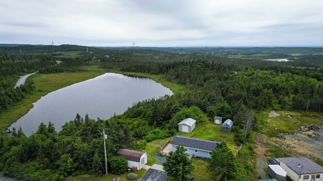 Photo of Outdoor in Harbour Main