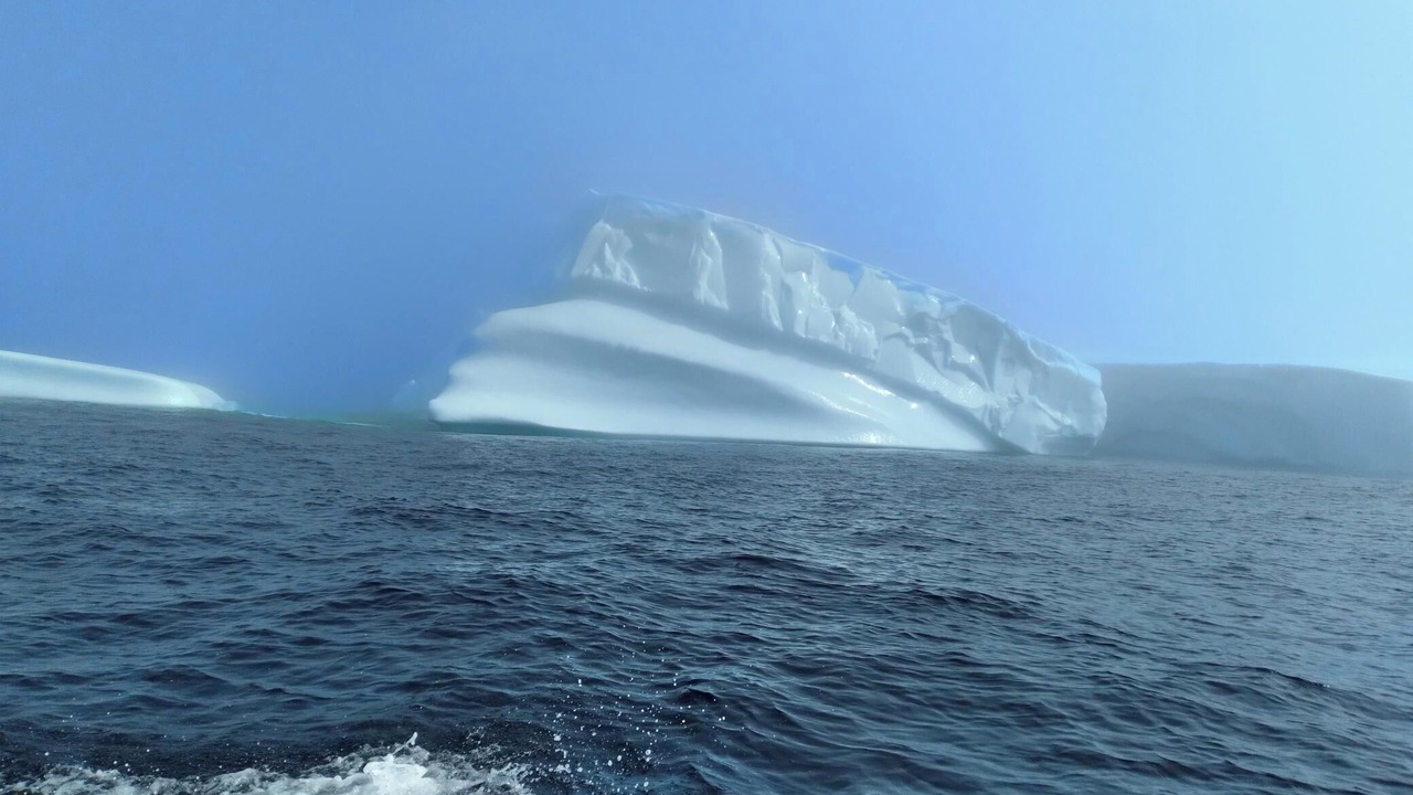 Photo of Others in Twillingate