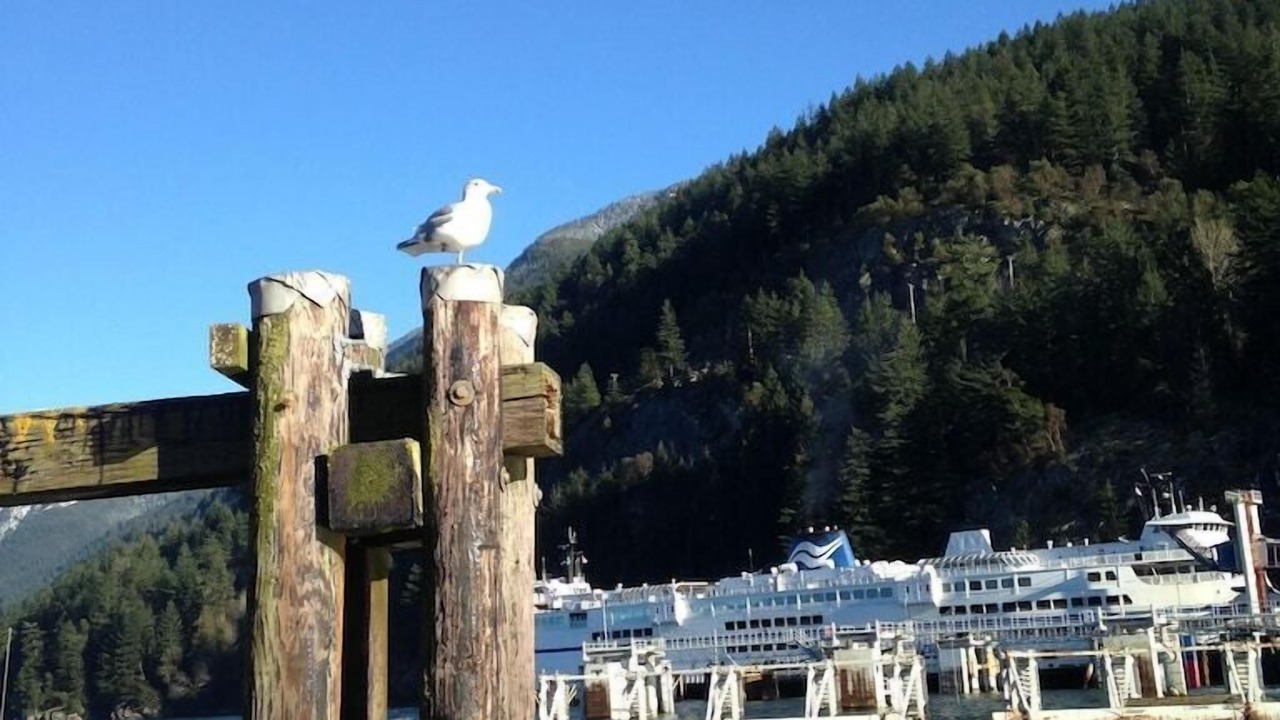 Photo of Others in Horseshoe Bay