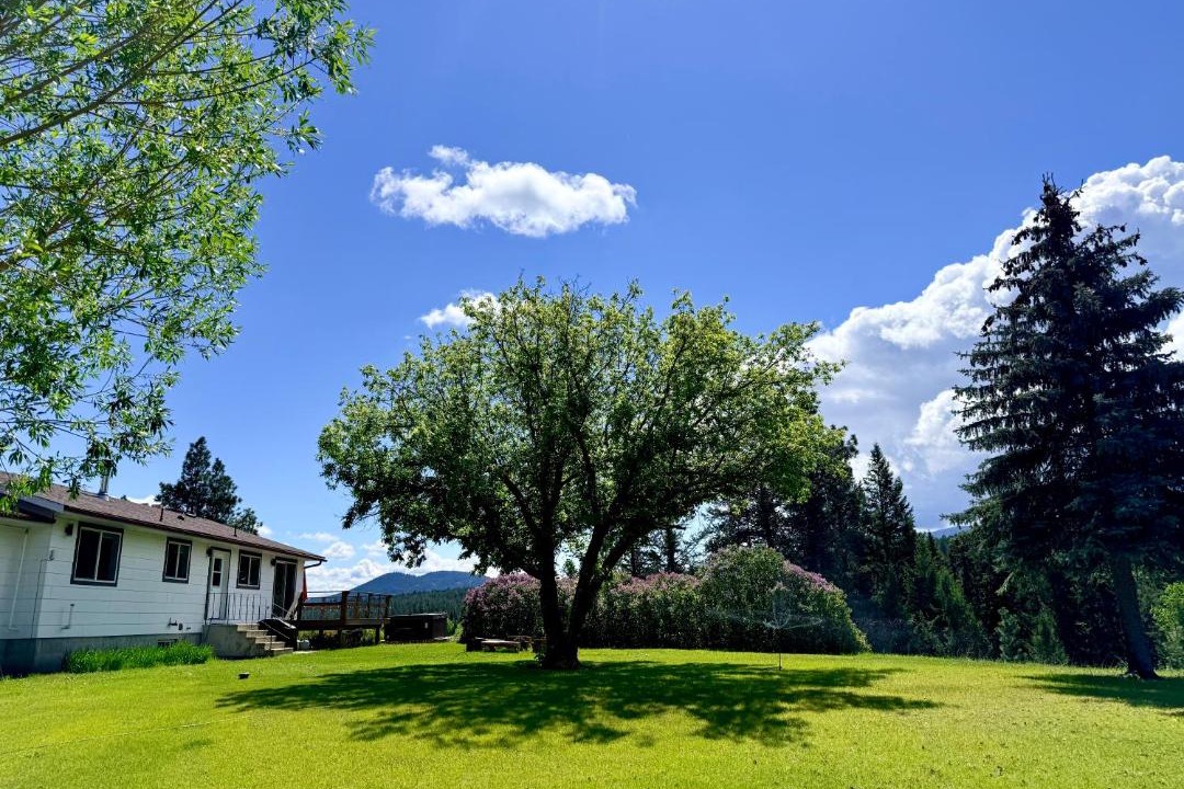 Photo of Others in East Kootenay