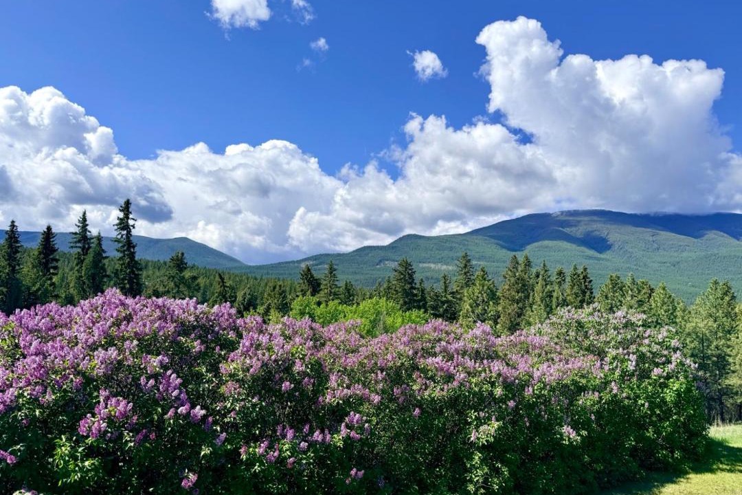 Photo of Others in East Kootenay