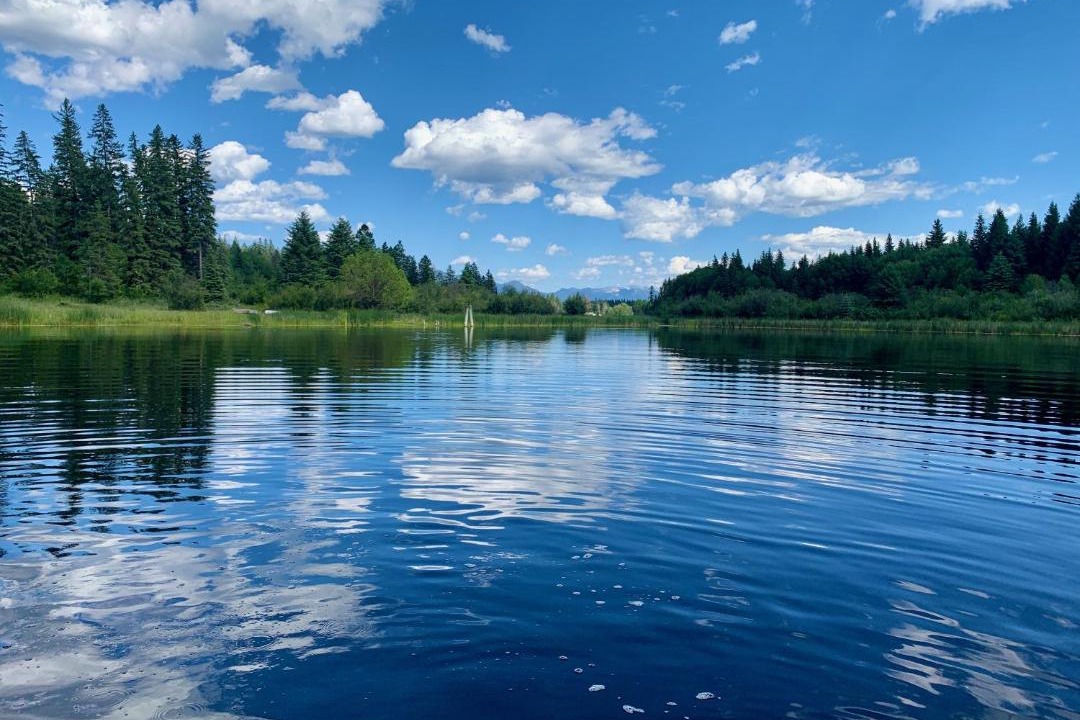 Photo of Others in East Kootenay