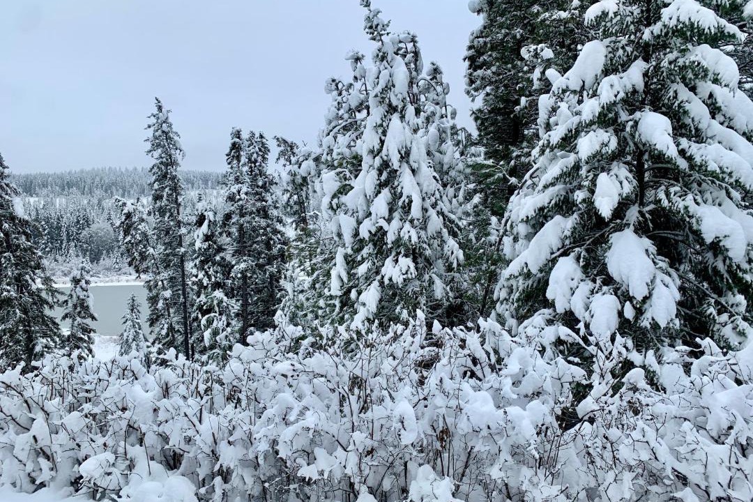Photo of Others in East Kootenay