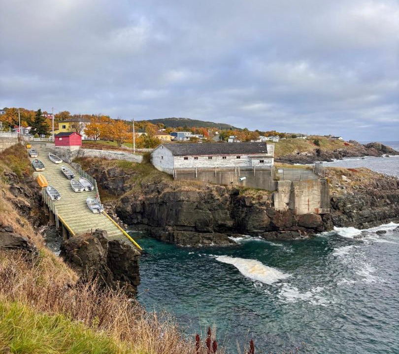 Photo of Others in Pouch Cove
