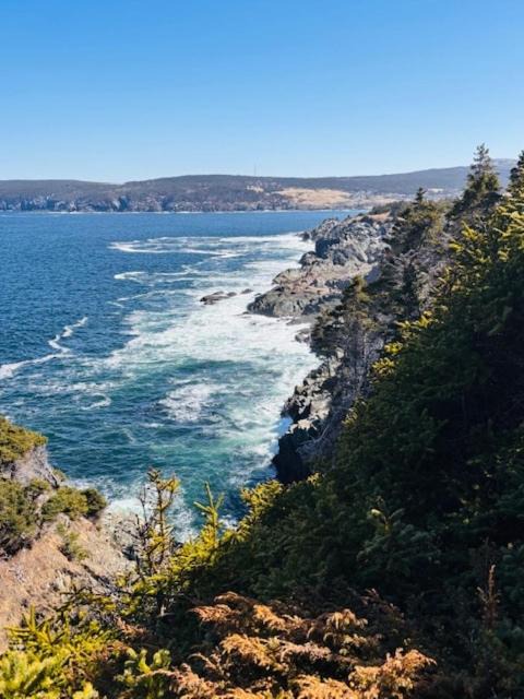 Photo of Others in Pouch Cove