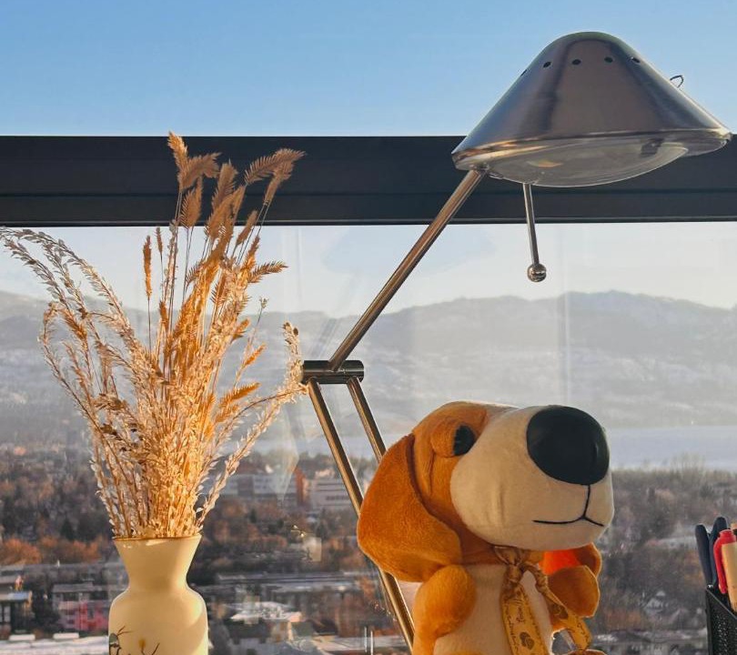 Photo of Others in Downtown Kelowna
