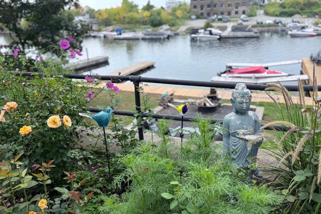 Photo of Others in Gananoque