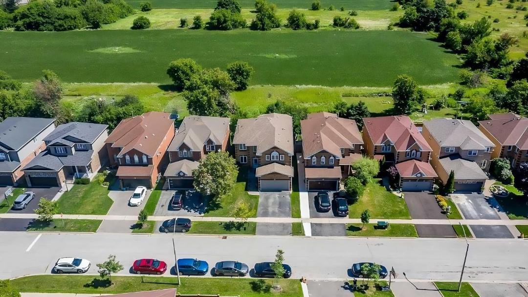 Photo of Others in Orangeville