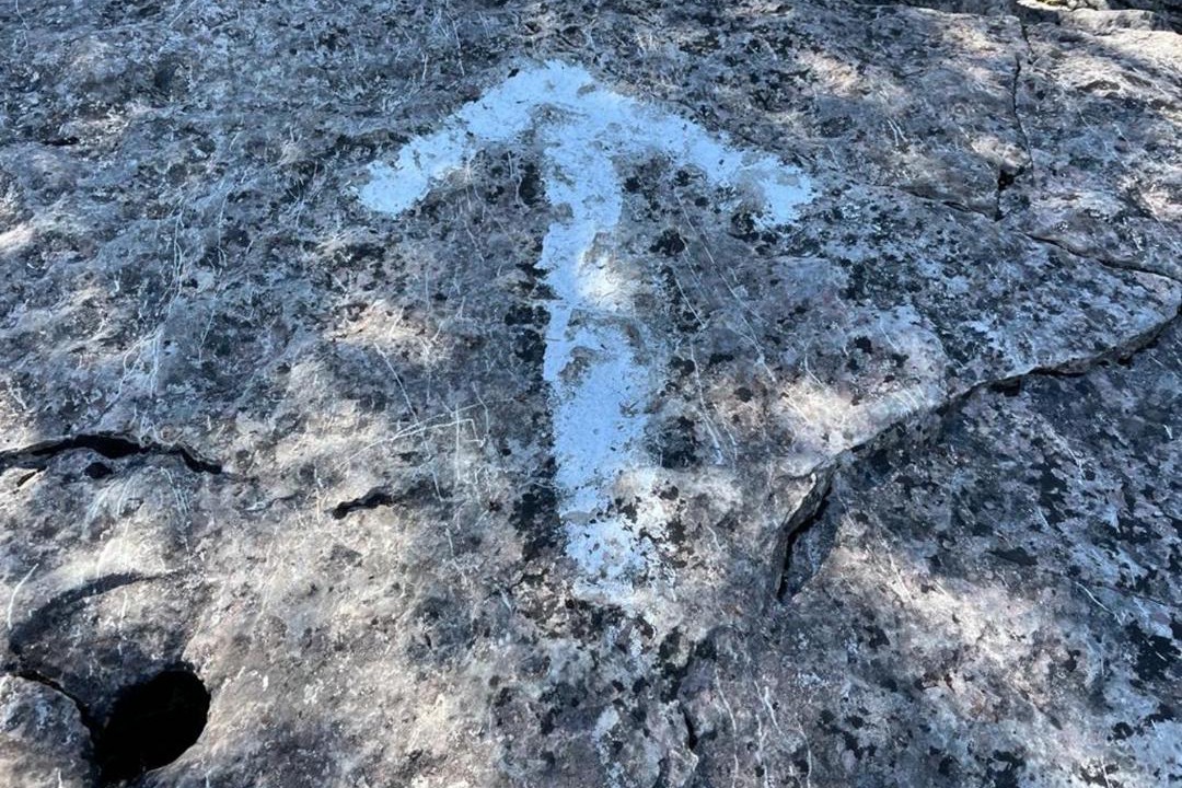 Photo of Others in South Bruce Peninsula