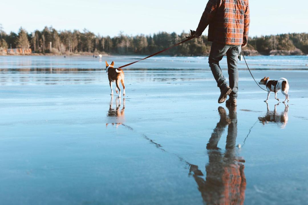 Photo of Others in Tofino