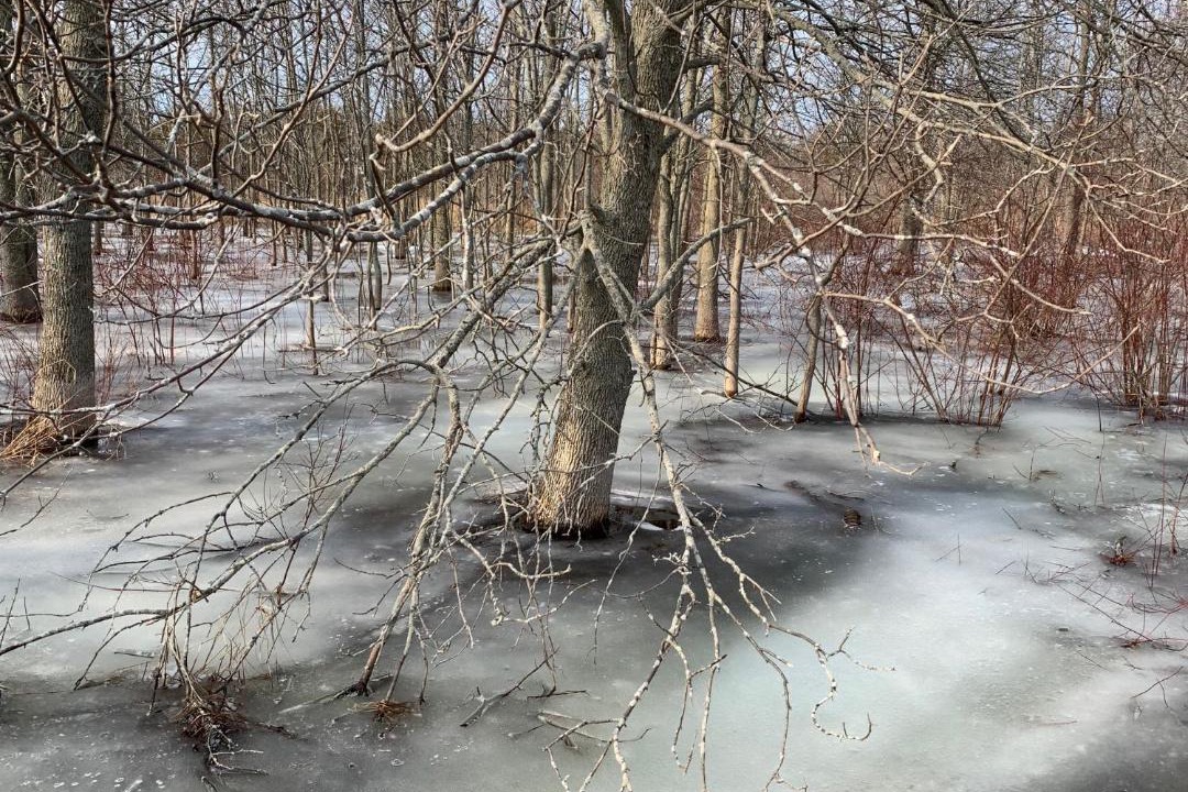 Photo of Others in Milford