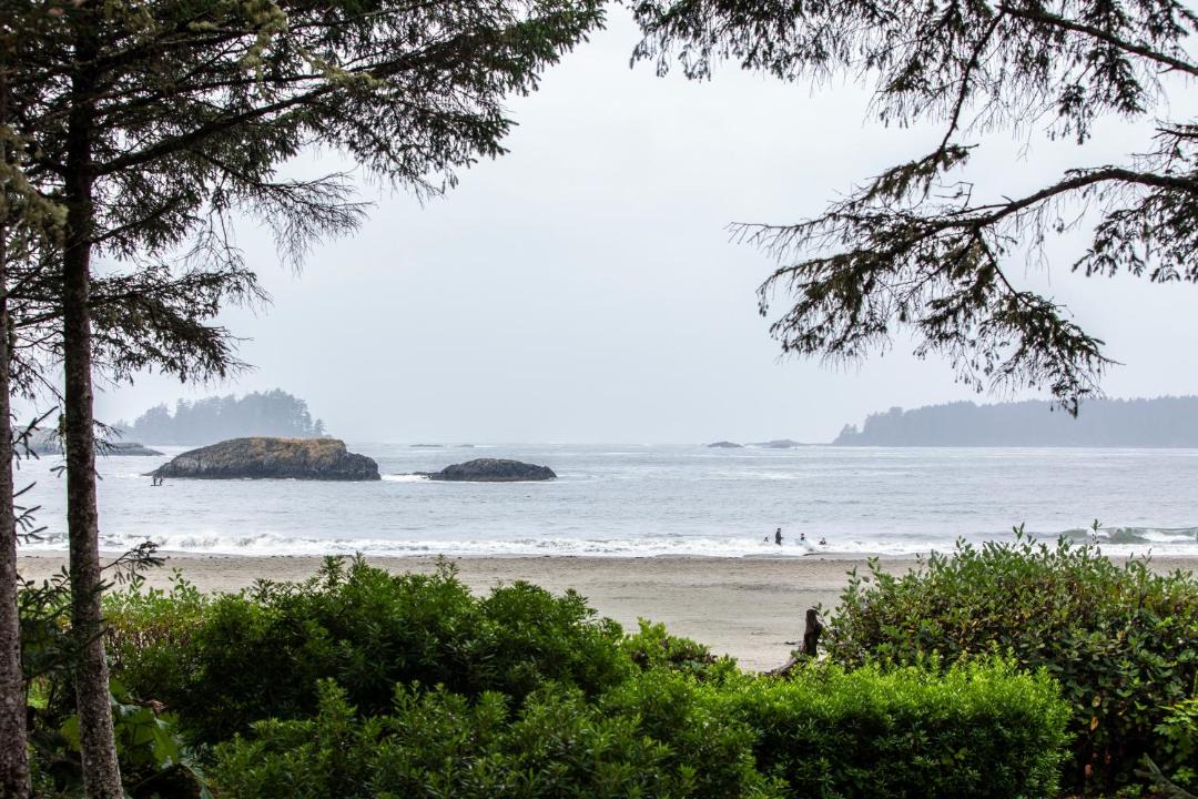 Photo of Others in Tofino