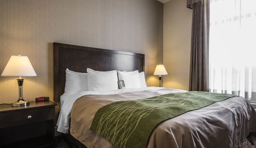 Suite, 1 King Bed with Sofa bed, Non Smoking