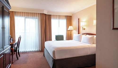 Room, 1 Queen Bed