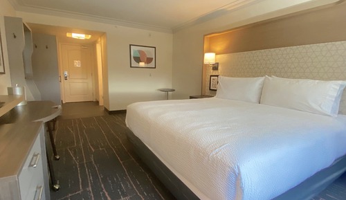 Standard Room, 1 King Bed, Mountain View