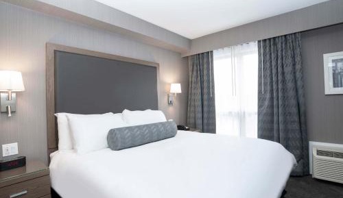 Standard Suite, 1 King Bed, Sofa Bed, Kitchenette