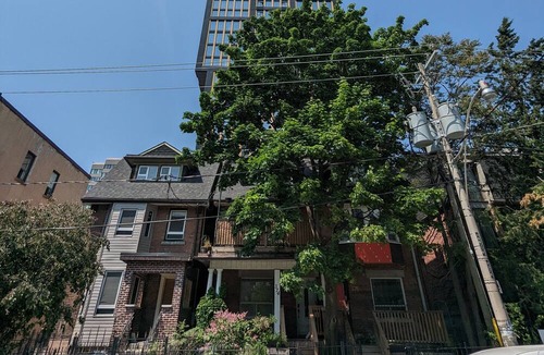 Church and Wellesley Apartment | Central & Economical Suite in Eduardian Home