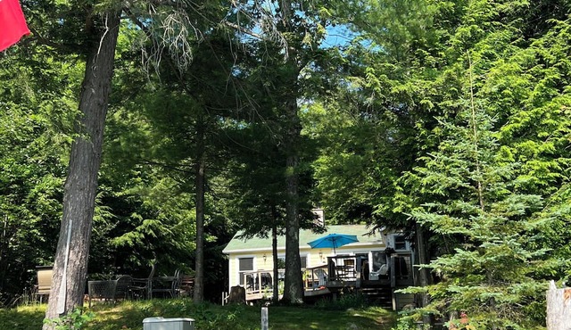 Muskoka Oasis with Sauna