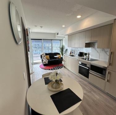 Entire Luxe Condo in Downtown Toronto