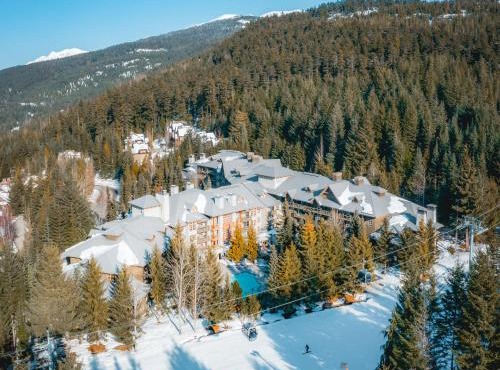 Blackcomb Springs Suites by CLIQUE