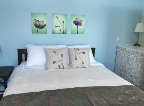 Knotty Pine Ocean Front Suite - Adults Only